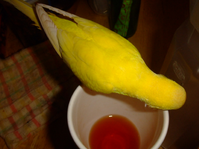 ւ