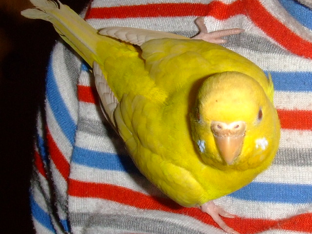 Ђ