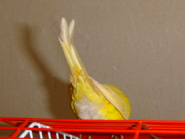 ΂
