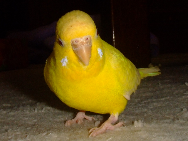 ܂